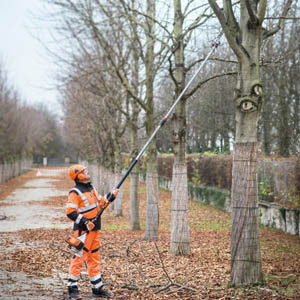 Chainsaw Pole Pruners_1